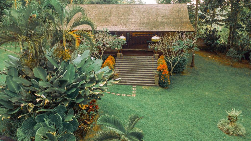 Zahrada ubytování Bali Palms