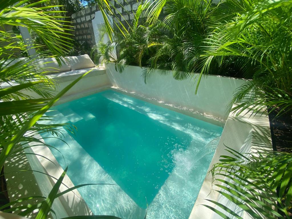 una piscina rodeada de palmeras en Nyumba Nyekundu en Watamu