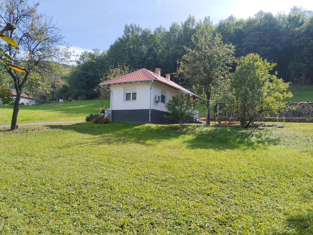een klein wit huis in een grasveld bij Vitovnicki Mir in Petrovac na Mlavi