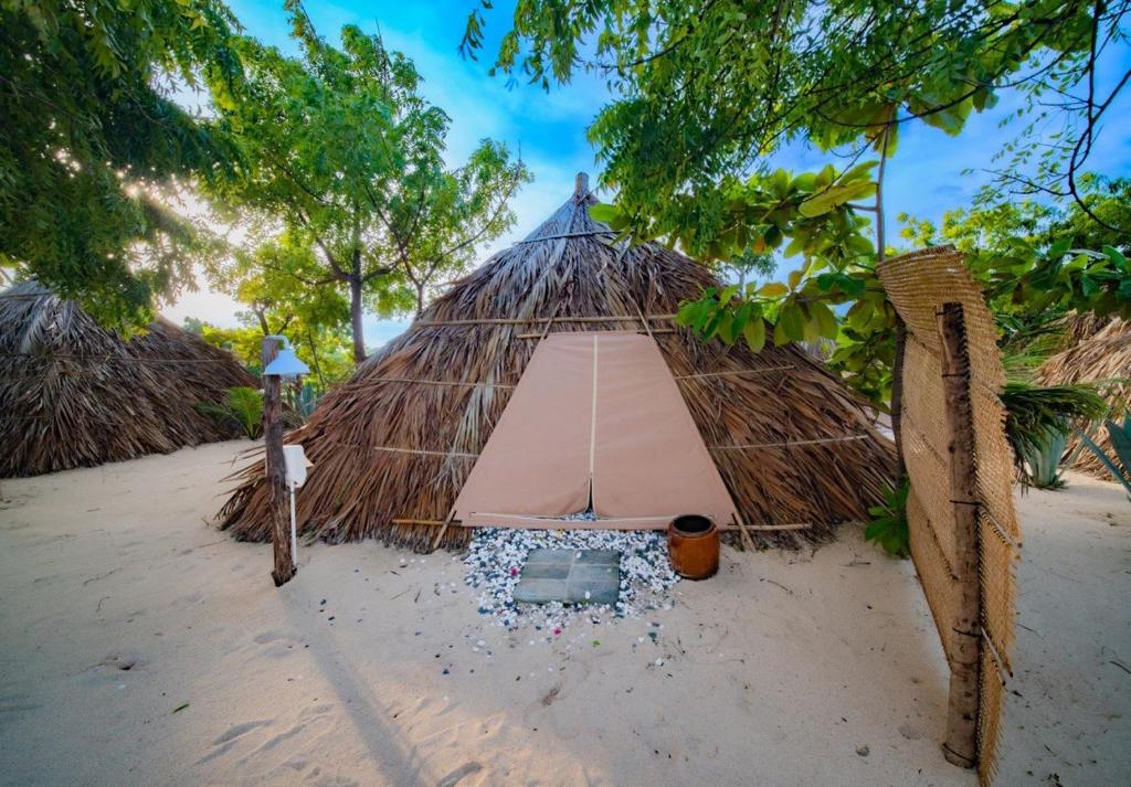 a tent on a sandy beach with trees at Vietnam Surf Camp in Ấp Mỹ Hải