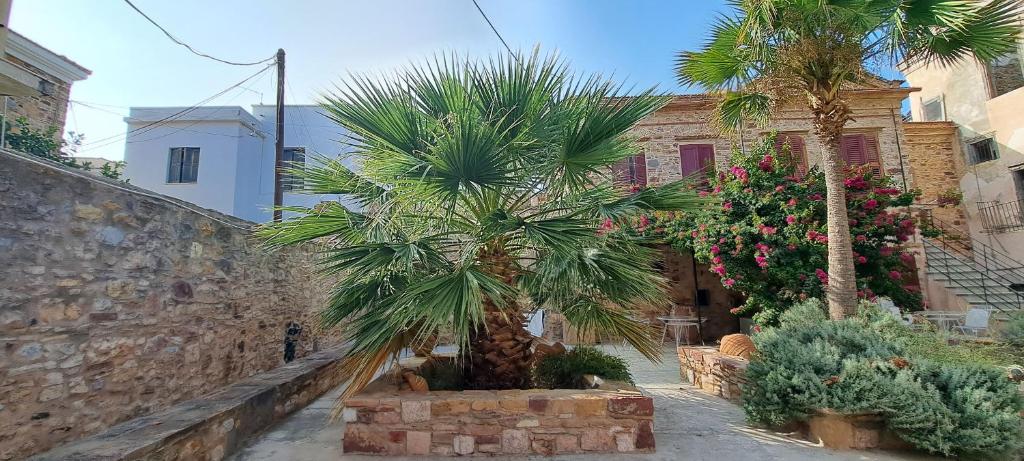 un grupo de palmeras frente a un edificio en THE GARDEN OF CHIOS en Chios