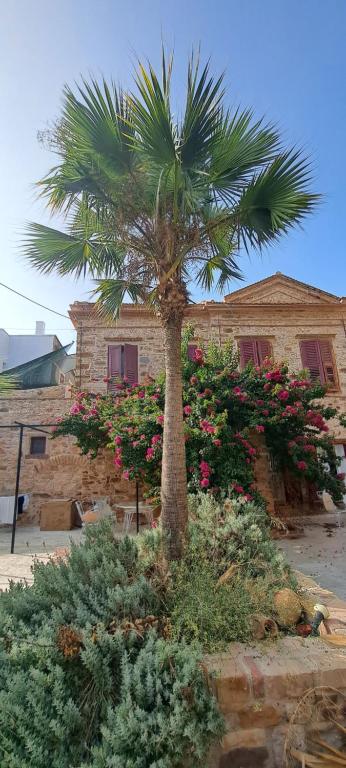 THE GARDEN OF CHIOS - 9