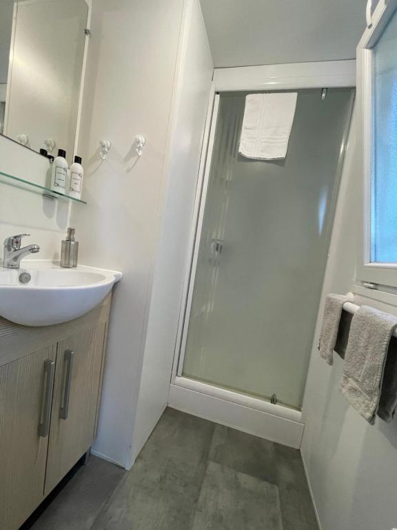 a bathroom with a shower and a sink at Mobilehome climatisé avec TV pour 4 à 6 personnes in Boofzheim