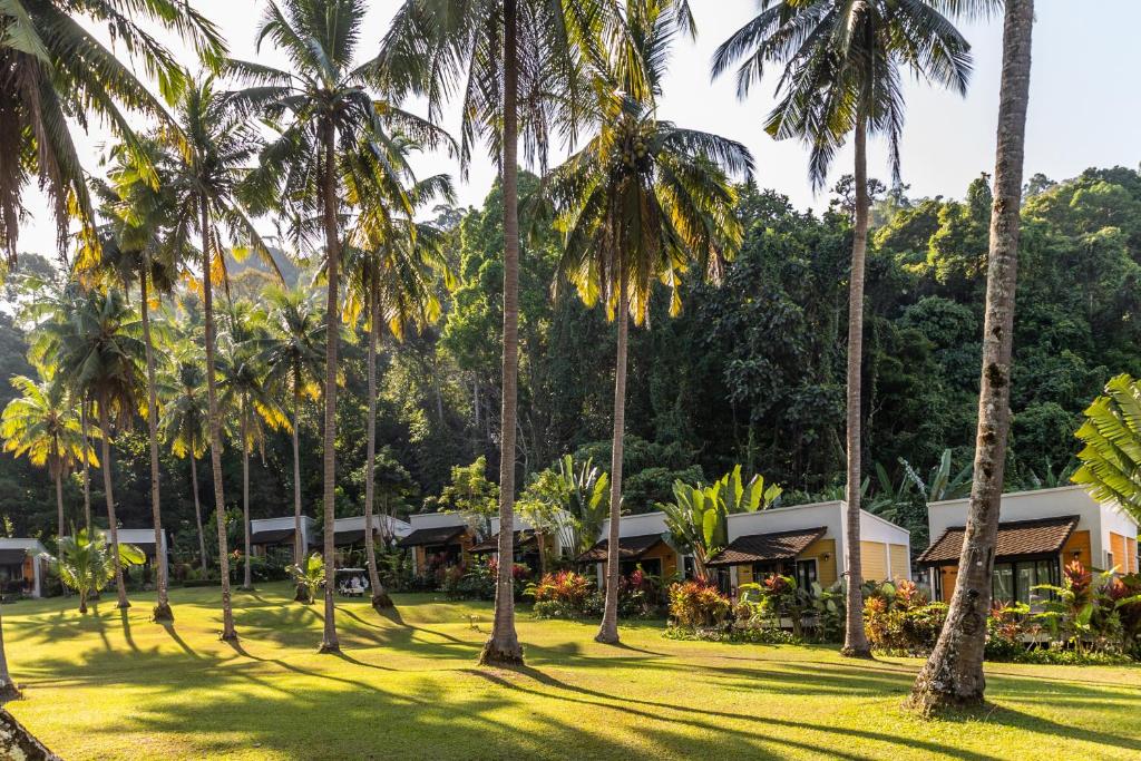 una fila de palmeras frente a un complejo en Phukhaolak Resort, en Khao Lak