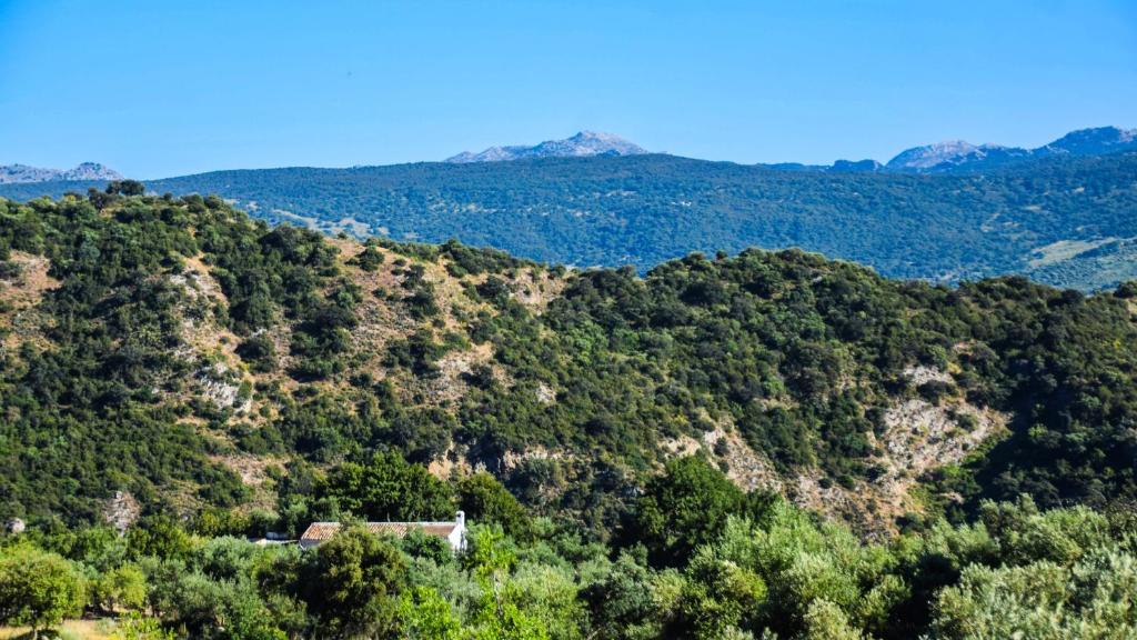 Casas Rurales Los Algarrobales - 19