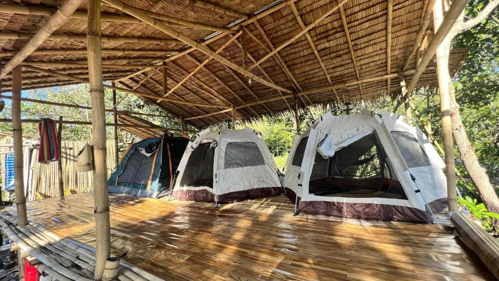 three tents are parked under a wooden roof at Green smile camping and private beach in Krabi town