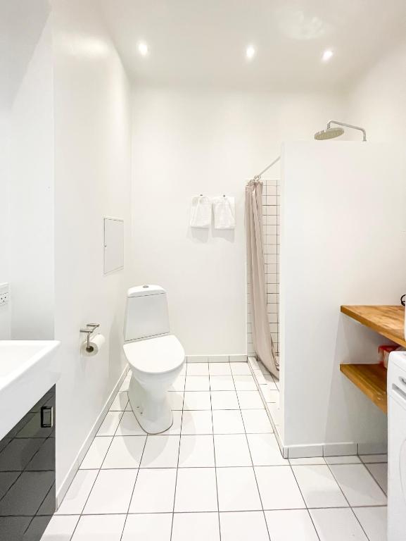 Koupelna v ubytování Beautiful One-Bedroom Apartment in CPH City