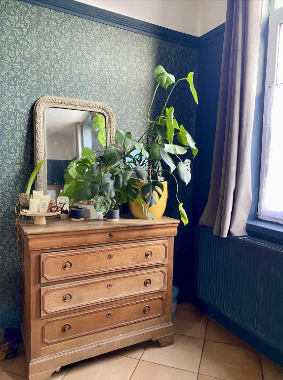 uma cómoda com um espelho e plantas nele em La Ferme em Ascq