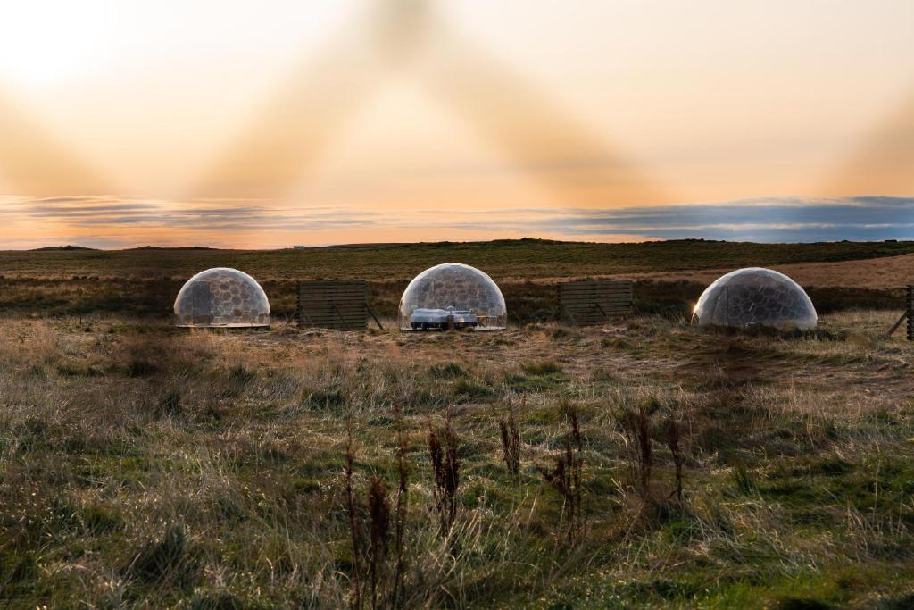 tres cúpulas en un campo con una puesta de sol en el fondo en Aurora Igloo en Hella