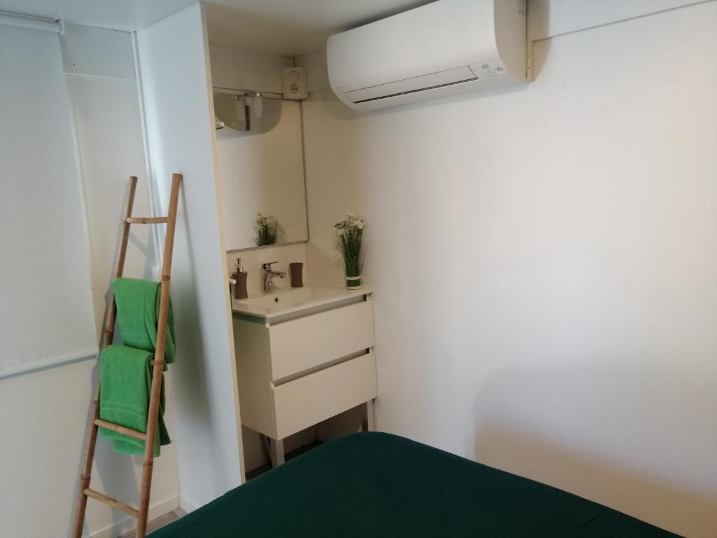 ein kleines Zimmer mit einem Waschbecken und einer Leiter in der Unterkunft Tiny house cosy in Anduze