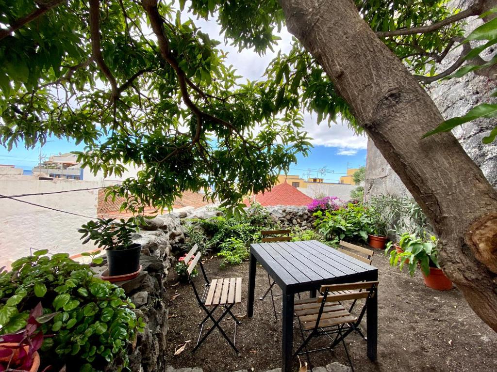 una mesa y sillas bajo un árbol con plantas en Secret Spot Santa Cruz, en Santa Cruz de la Palma