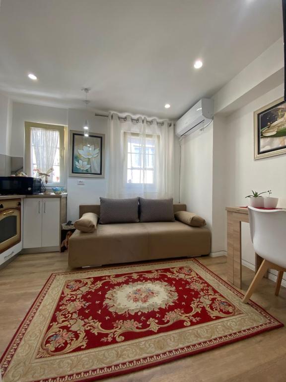 ein Wohnzimmer mit einem Sofa und einem roten Teppich in der Unterkunft Central Welcoming Apartment in Tirana in Tirana
