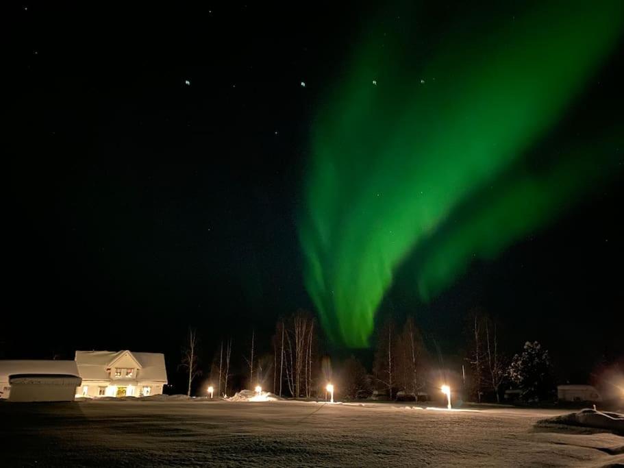 an aurora in the sky over a field with a house at Northern Lights exclusive house by the river in Boden
