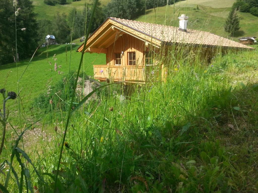 mały domek na polu wysokiej trawy w obiekcie Miehl w mieście Heiligenblut