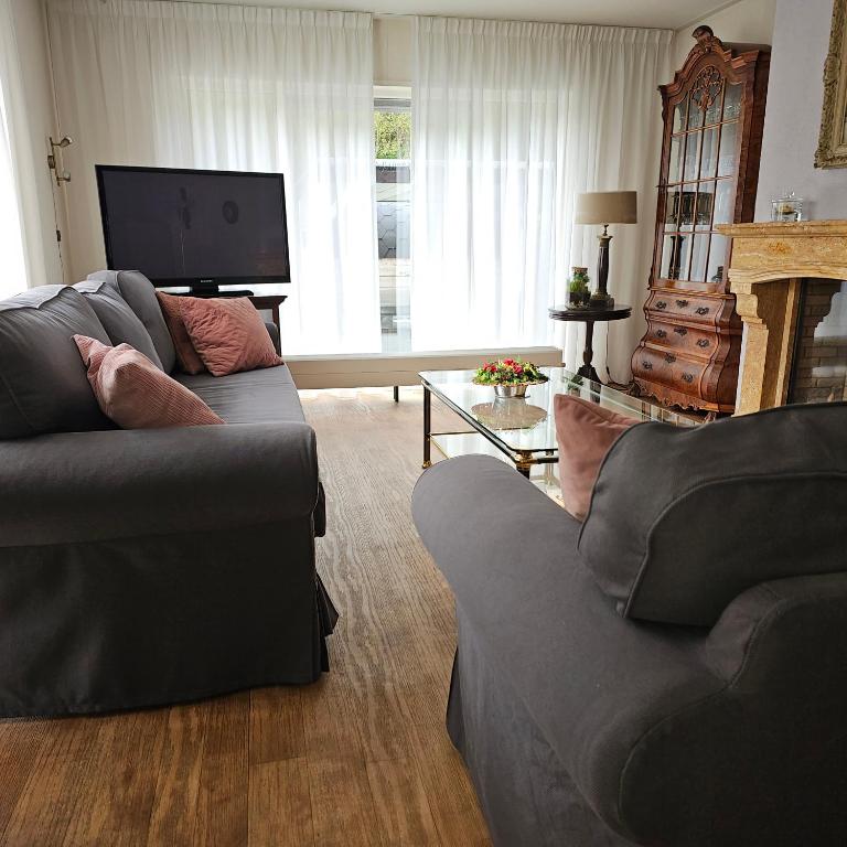 TV a/nebo společenská místnost v ubytování Chalet Buutengeweun, met luxe JACUZZI en TONSAUNA