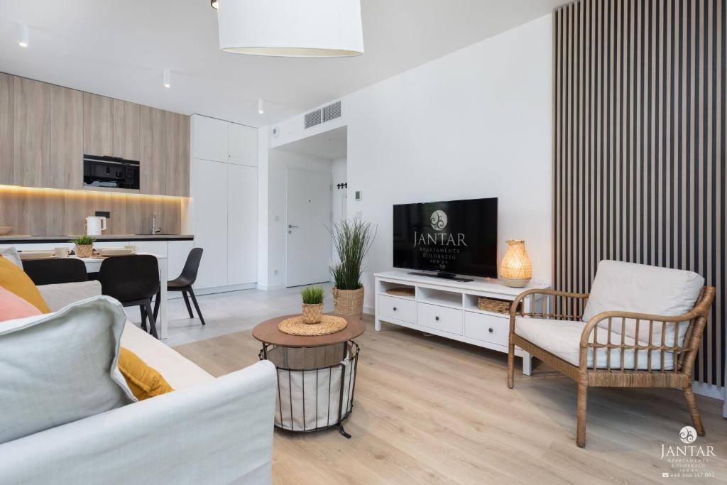 sala de estar con sofá y TV en Shellter Apartments 117 M - by Jantar Apartamenty, en Rogowo