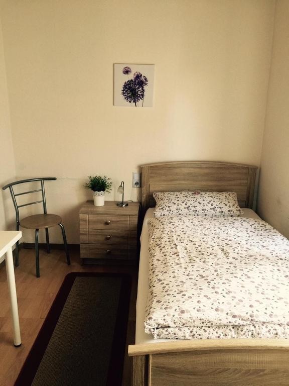 Pension Lindenhof - Standard Single Room