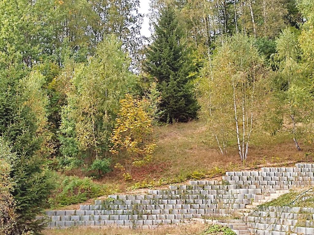 Příroda nedaleko penzionu