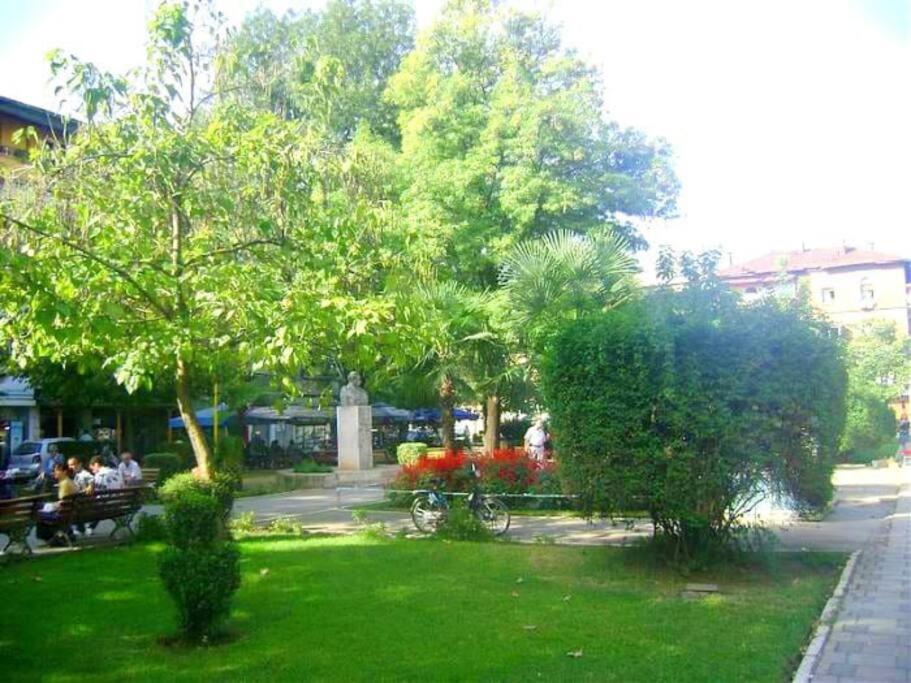 Ovi Home 2 - Imazhi 9