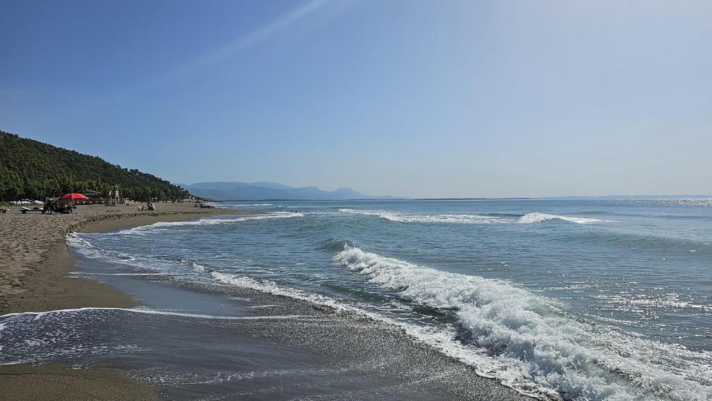 Příroda nedaleko bed and breakfast