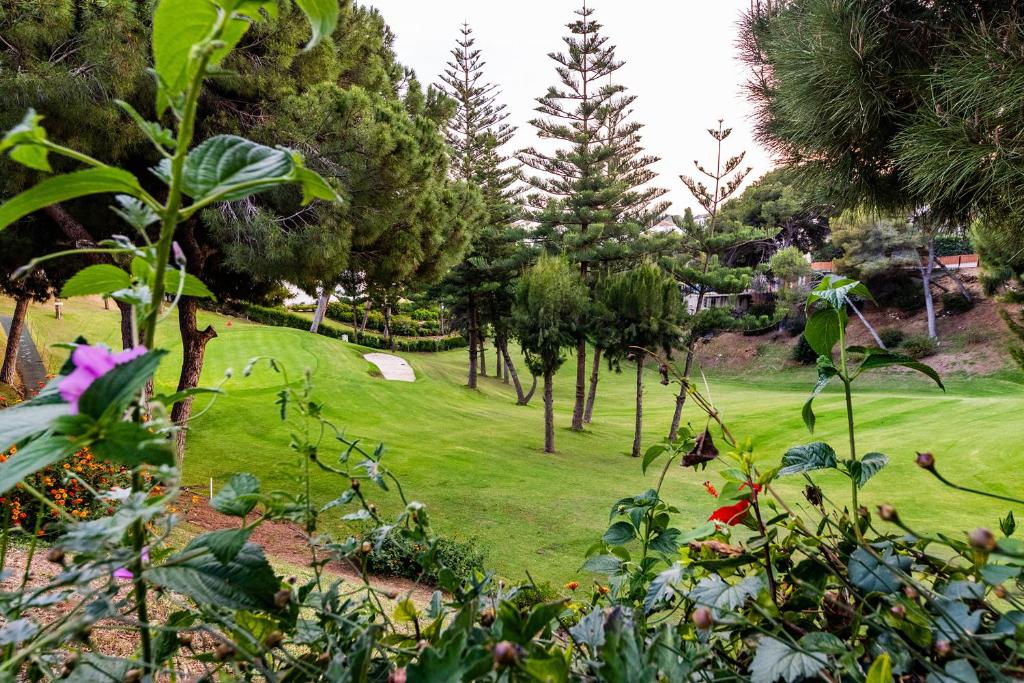 Fotografia z galérie ubytovania Apartment Calahonda Mijas v destinácii Sitio de Calahonda
