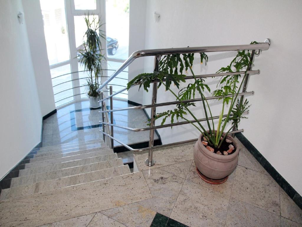 Apartments Villa Katarina - 16