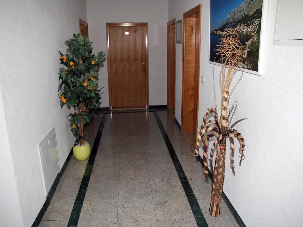 Apartments Villa Katarina - 18