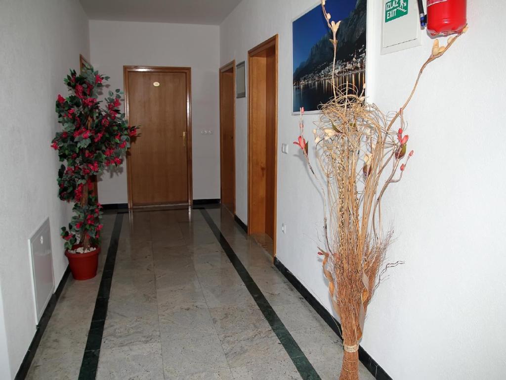 Apartments Villa Katarina - 17