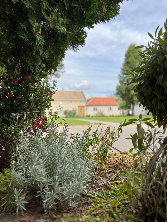 Zahrada ubytování Bezdan Guesthouse