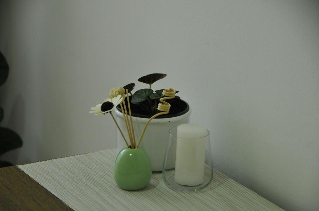 Fotografie z fotogalerie ubytování Bezdan Guesthouse v destinaci Bezdan