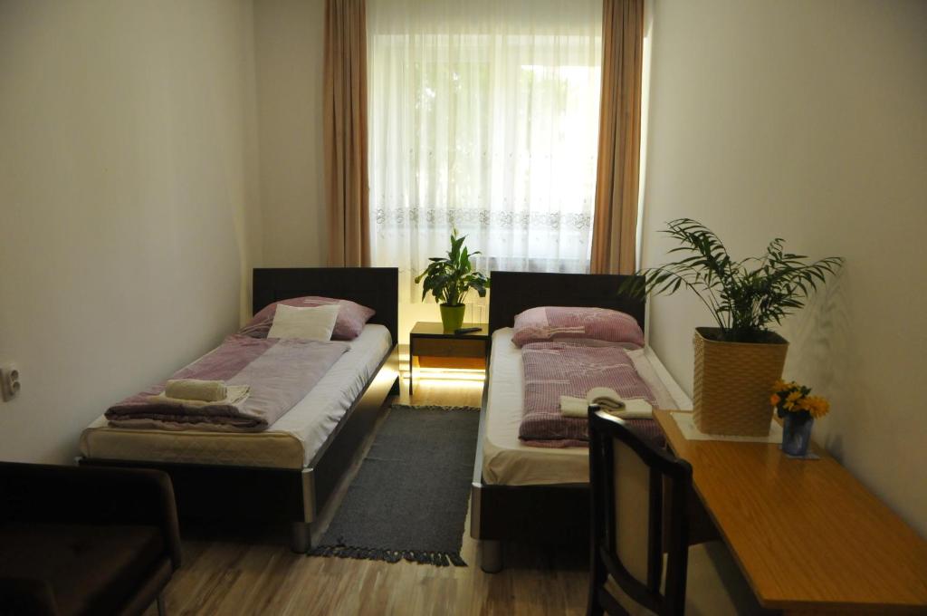 Postel nebo postele na pokoji v ubytování Bezdan Guesthouse