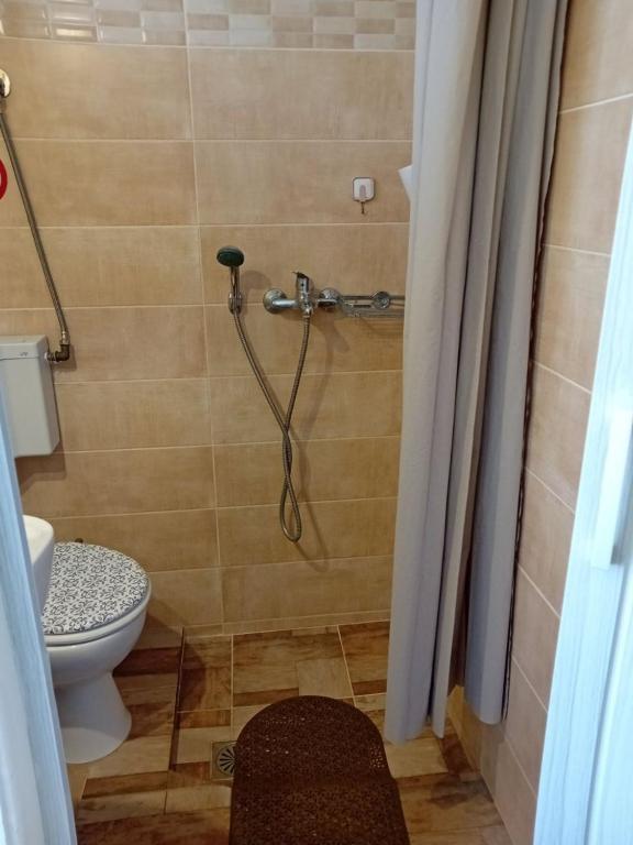 Koupelna v ubytování Leylandi rooms