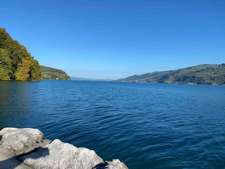 a large body of water with mountains in the background at See und Berge Garden in Faulensee