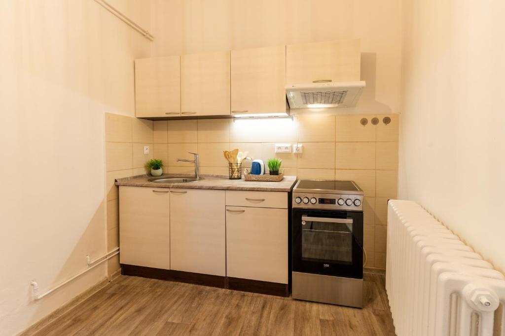 Kuchyňa alebo kuchynka v ubytovaní Apartmány KRAKENS