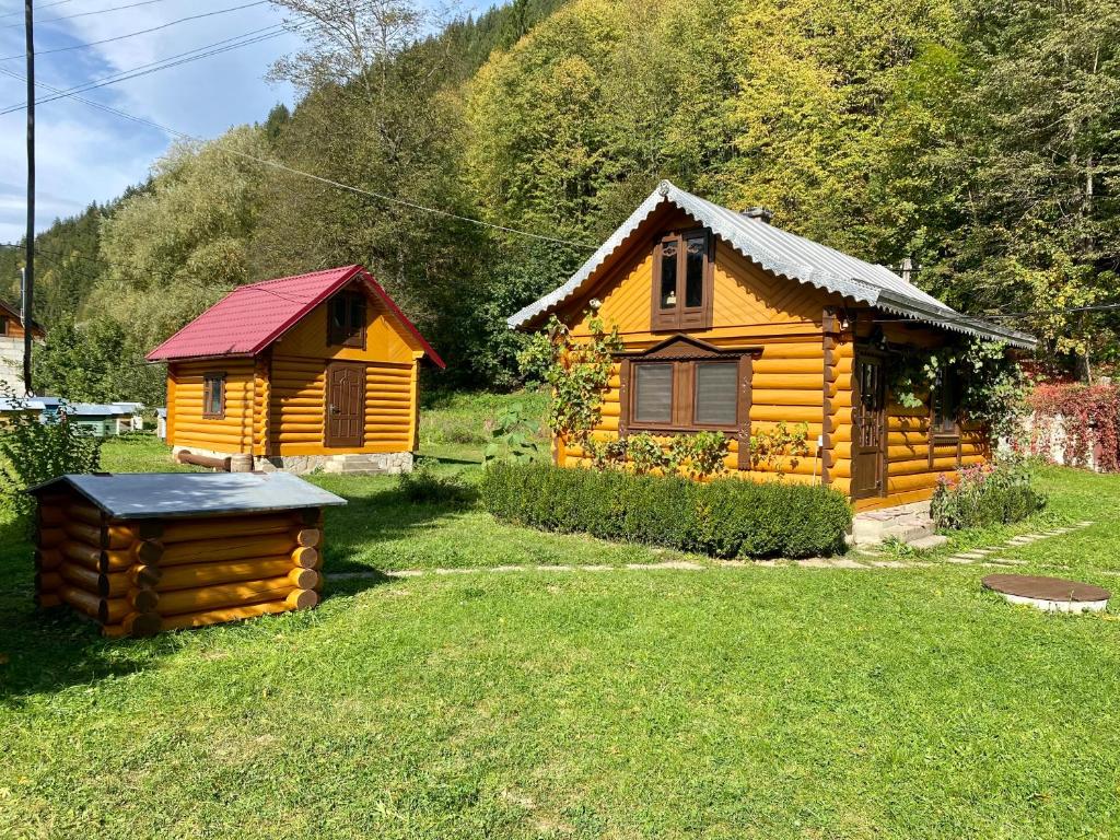 uma cabana de madeira e uma pequena casa na relva em LINDEN GROVE em Vygoda