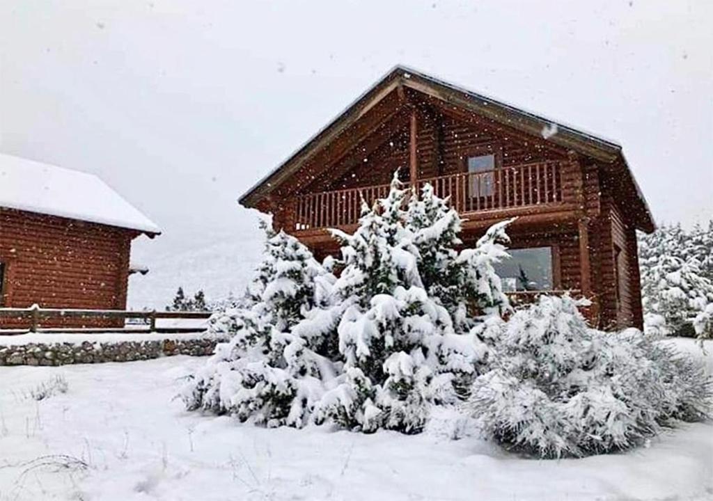 Nemoral Chalet في أراخوفا: شجرة مغطاة بالثلج أمام كابينة خشبية