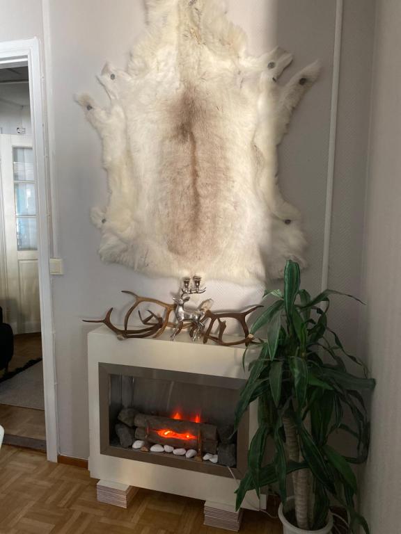Fotografie z fotogalerie ubytování Villa Shaman v destinaci Rovaniemi