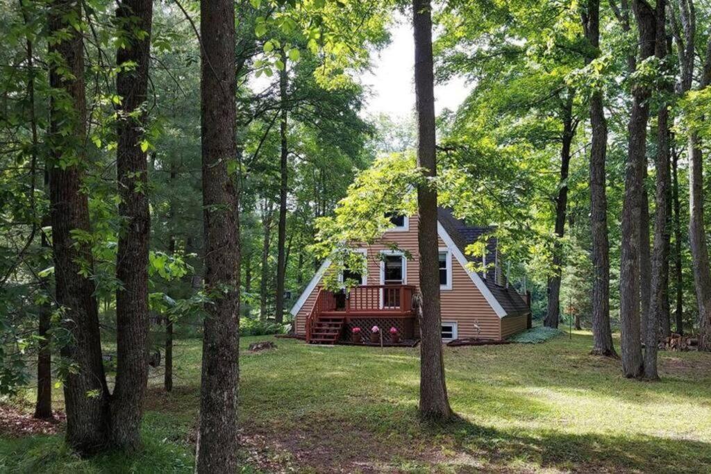 a small house in the middle of a forest at River's Edge Retreat in Evart