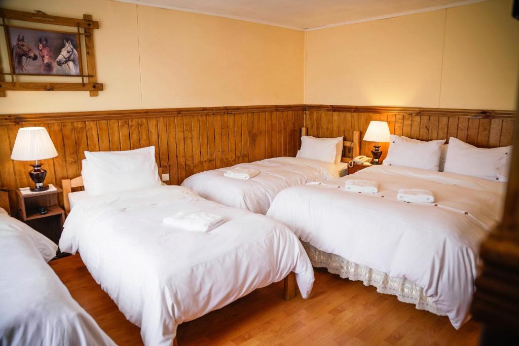 Postel nebo postele na pokoji v ubytování Hostal Hielo Sur