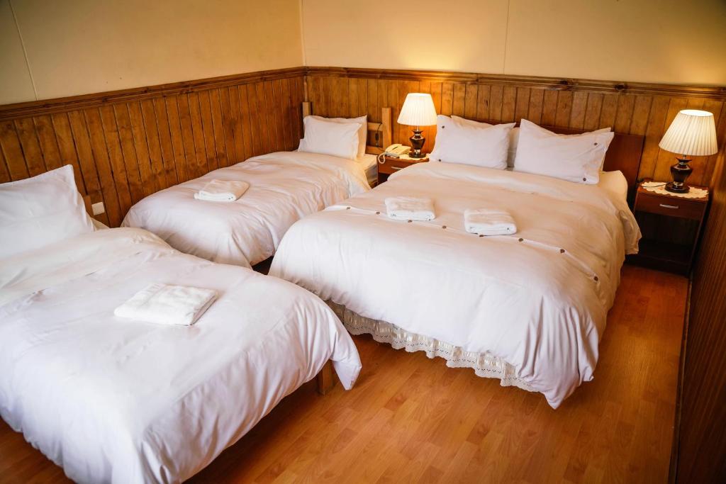 Postel nebo postele na pokoji v ubytování Hostal Hielo Sur