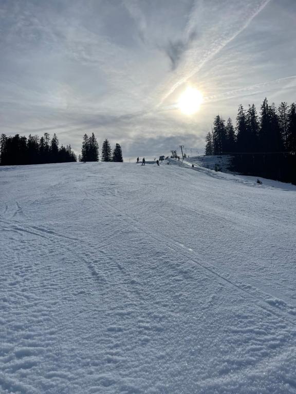 Haus Tanne Abtenau v zimě