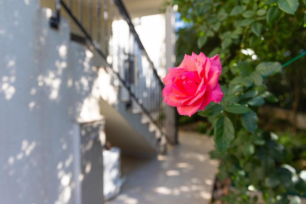 Foto dalla galleria di Apartments Lustica a Tivat