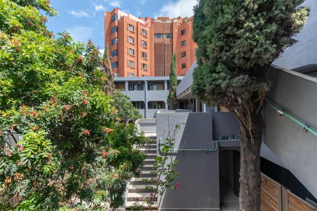um edifício com uma árvore e escadas em frente a um edifício em Hacienda Santa Barbara by Homi Rent em El Jacal