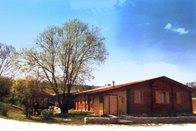 een klein houten huis met een boom ervoor bij Agriturismo Il Mio Casale in Monte Colombo