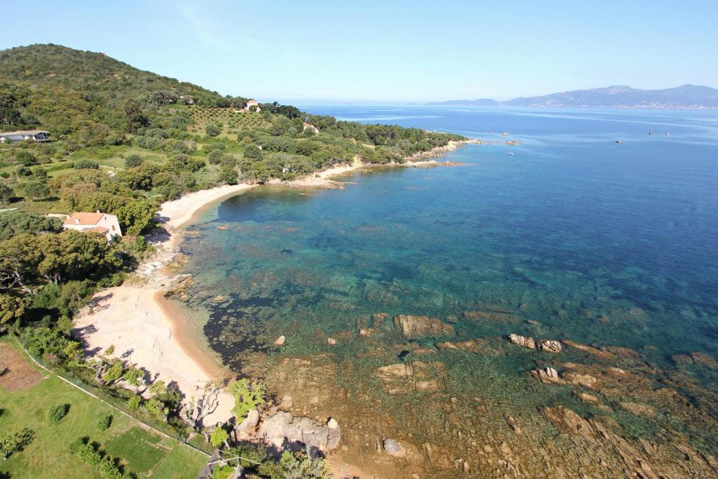 an aerial view of a beach and the ocean at Résidence Aigue Marine in Coti-Chiavari