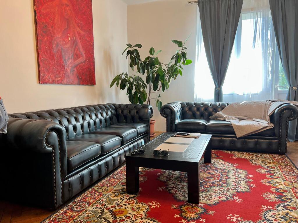 uma sala de estar com dois sofás de couro e uma mesa de centro em Dream Home em Turda