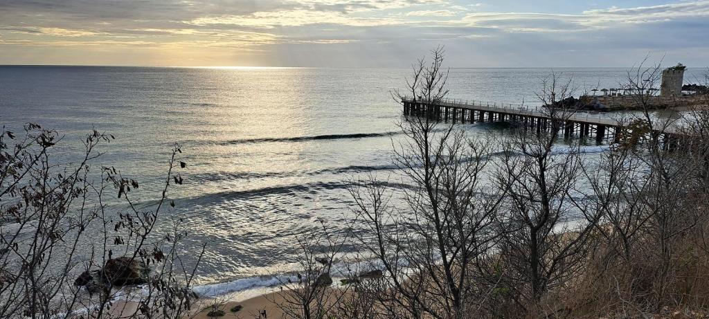 - une jetée sur la plage avec l'océan dans l'établissement Private Apartment in Saint Elena, à Saints Constantine et Helena