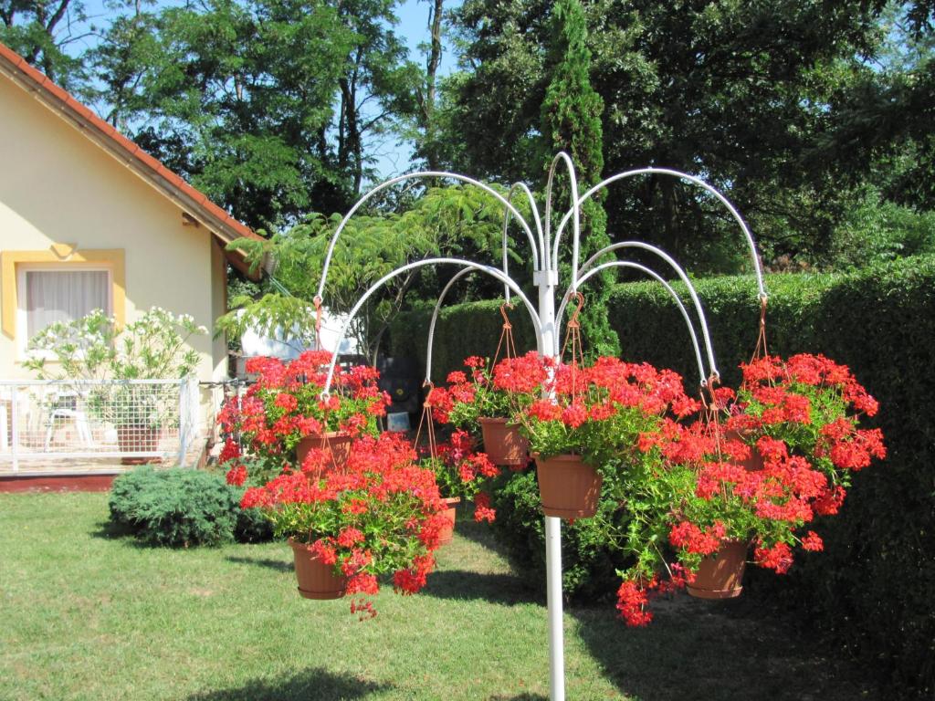 Ogród w obiekcie Apartments Annamaria