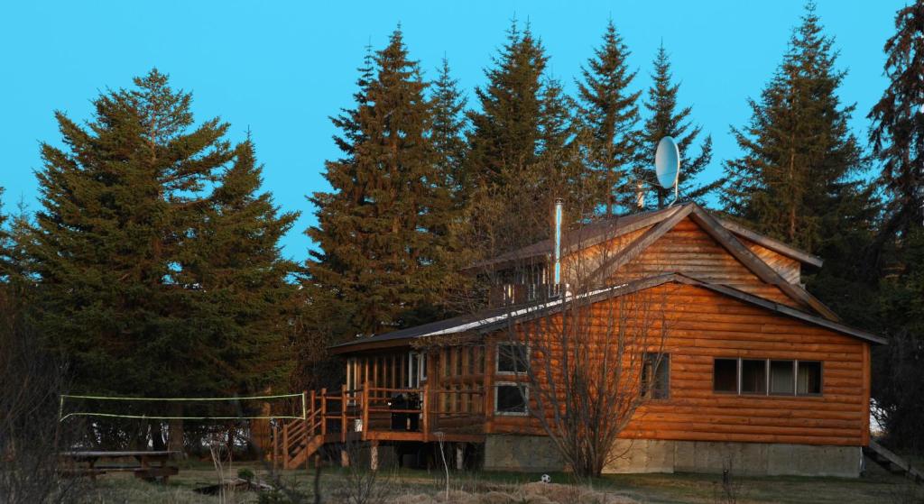 eine Blockhütte inmitten eines Waldes in der Unterkunft Bear Den Vacation Home in Anchor Point