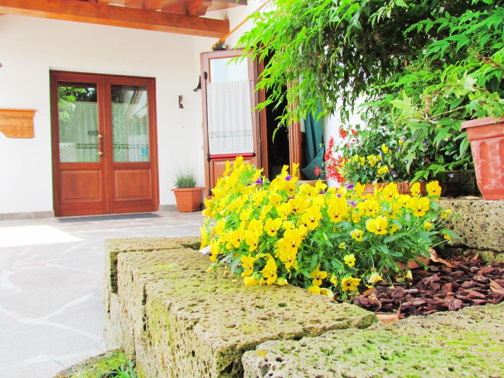 Zahrada ubytování Agriturismo Le Cipressine